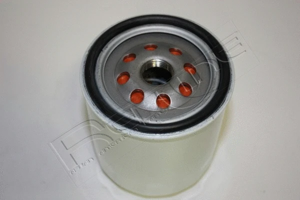 Oil Filter (38DR000)