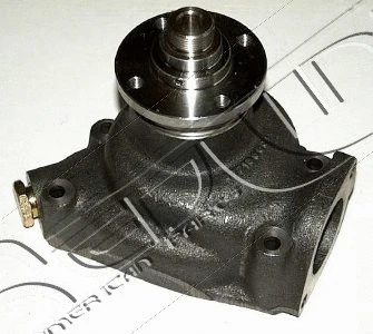 Water Pump, engine cooling (28NI006)