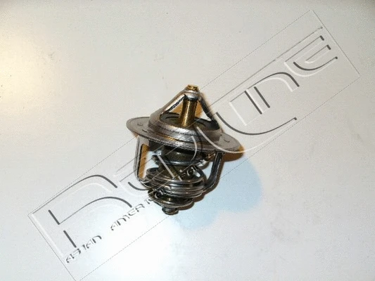 Thermostat, coolant (55IZ000)
