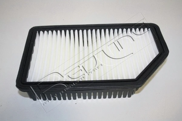 Air Filter (36HY093)
