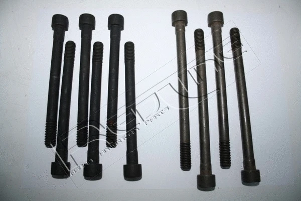 Cylinder Head Bolt Set (00NI005)