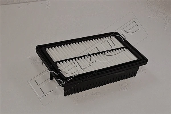 Air Filter (36HY101)