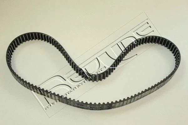 Timing Belt (29MZ008)