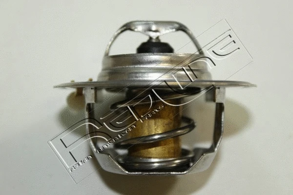 Thermostat, coolant (55RV002)