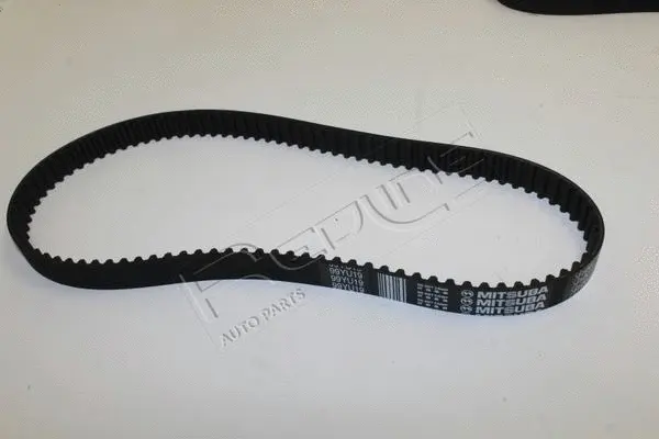 Timing Belt Kit