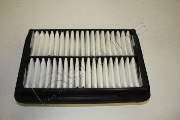 Air Filter (36SZ041)