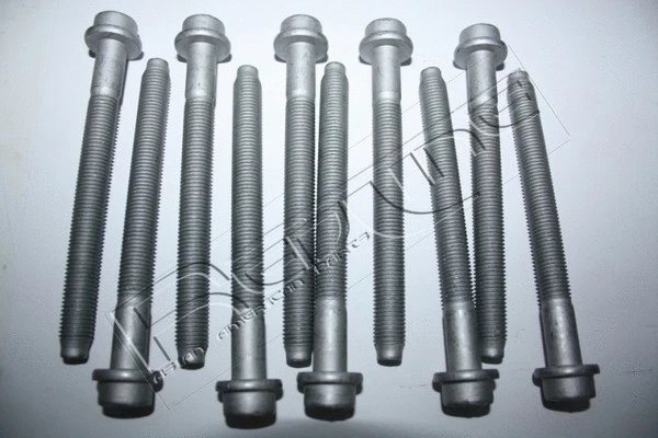 Cylinder Head Bolt Set (00SZ008)