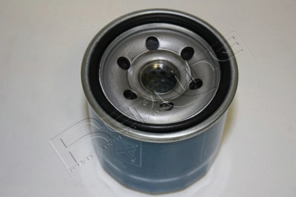 Oil Filter (38CV012)