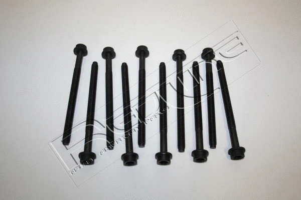Cylinder Head Bolt Set (00MZ003)