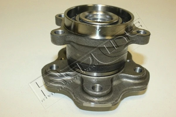 Wheel Hub (24NI070)