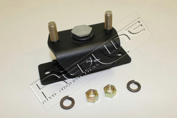 Mounting, engine (43IZ014)