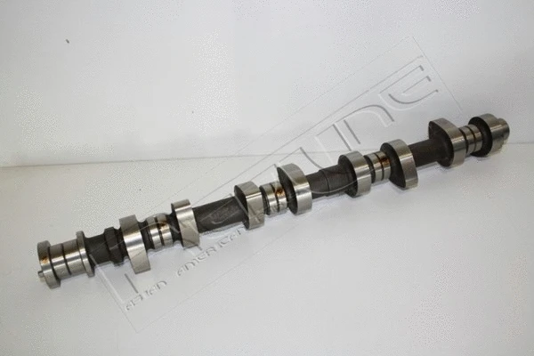 Camshaft (16MI010)