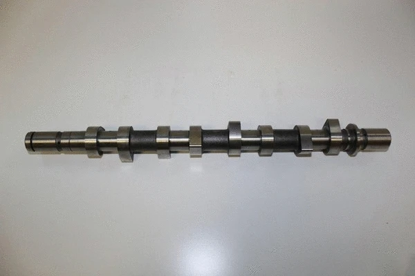 Camshaft (16NI008)