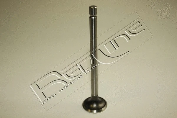Exhaust Valve (15SZ001)