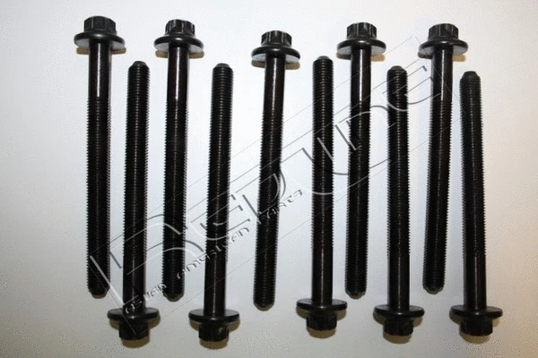 Cylinder Head Bolt Set (00NI022)