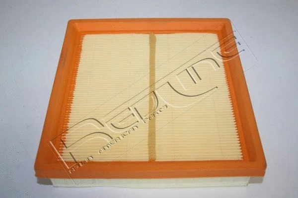 Air Filter (36DR004)