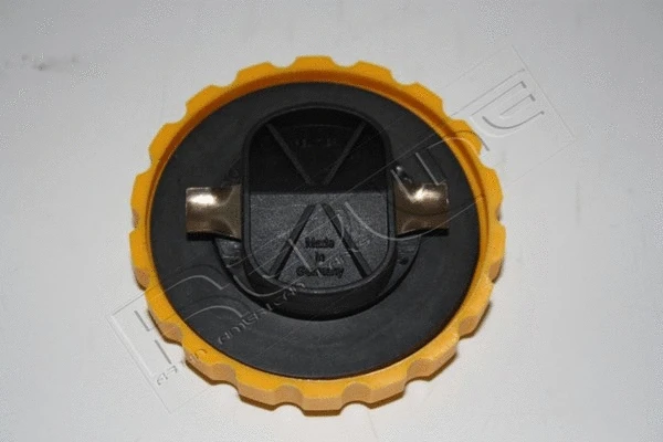 Sealing Cap, oil filler neck (67DW000)