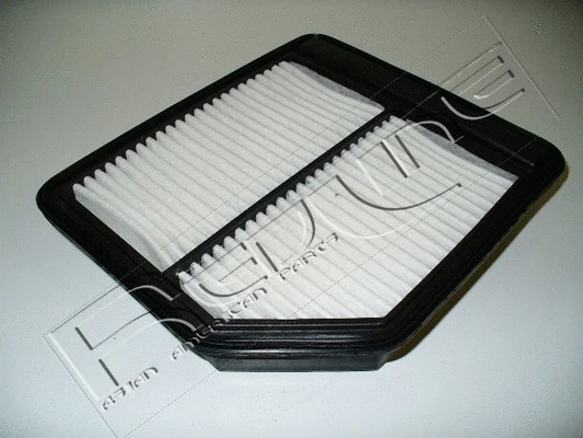 Air Filter (36HO027)