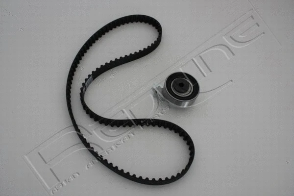 Timing Belt Kit (30DW001)