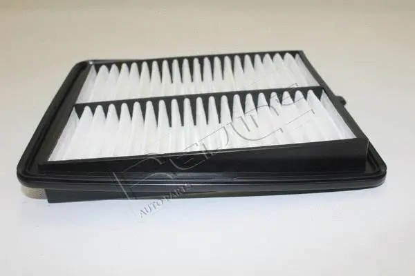 Air Filter (36SZ064)