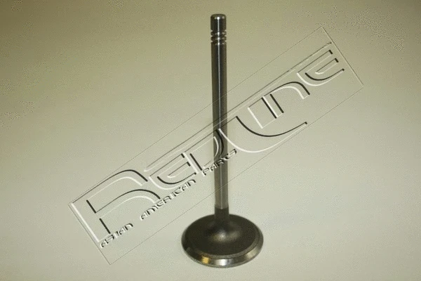 Intake Valve (15DW008)
