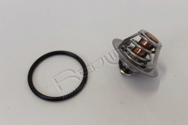 Thermostat, coolant (55MI006)