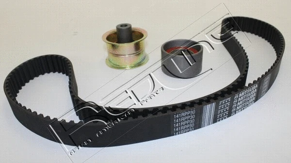 Timing Belt Kit (30NI016)