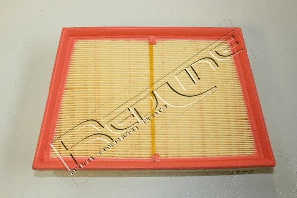 Air Filter (36RV027)