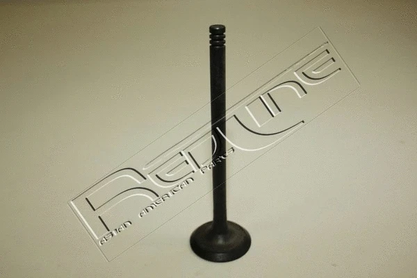 Exhaust Valve (15NI037)