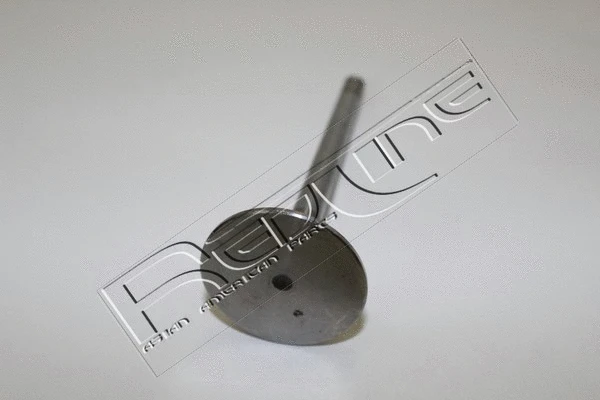 Intake Valve