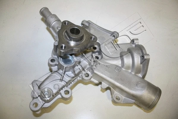Water Pump, engine cooling (28SZ024)