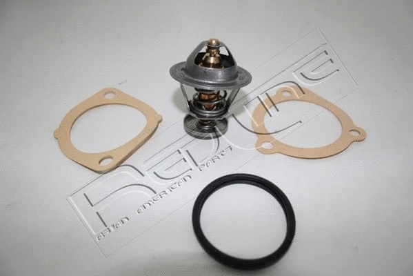 Thermostat, coolant (55NI008)