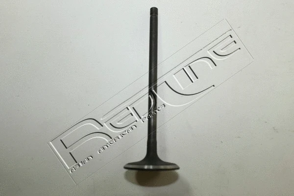 Intake Valve (15NI042)