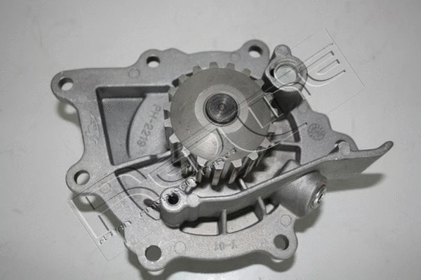 Water Pump, engine cooling (28RV016)