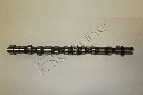 Camshaft (16CV002)