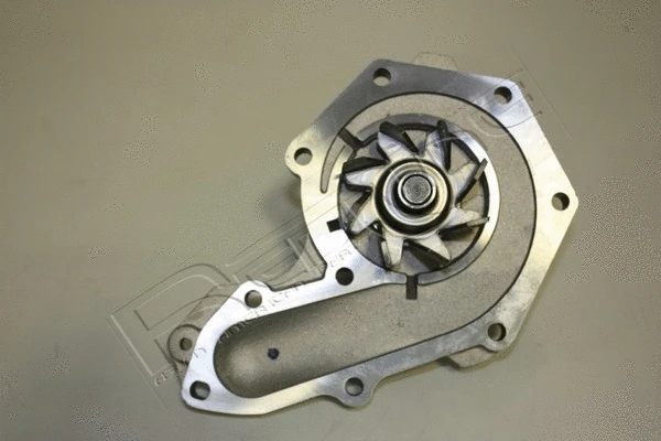 Water Pump, engine cooling (28SZ020)