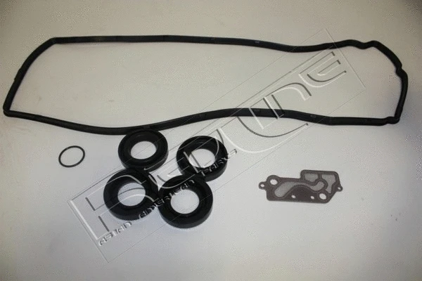 Gasket Kit, timing case (30NI004)