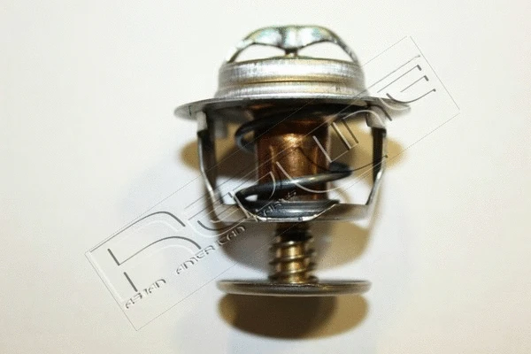 Thermostat, coolant (55TA000)