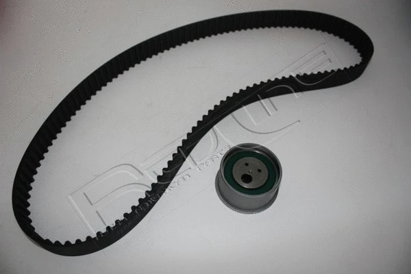 Timing Belt Kit (30GW001)