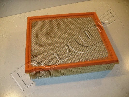 Air Filter (36RV003)