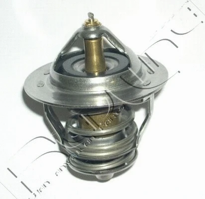 Thermostat, coolant (55MI000)