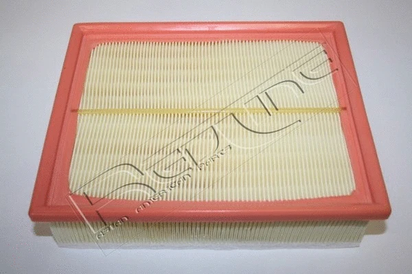 Air Filter (36RV025)