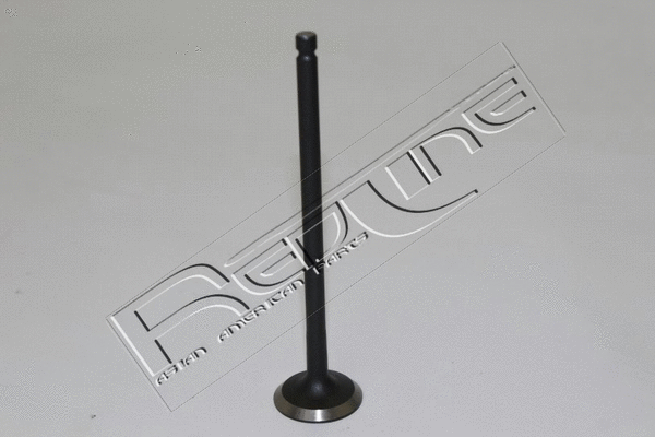 Exhaust Valve (15HY033)