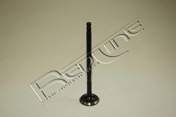 Exhaust Valve (15NI027)