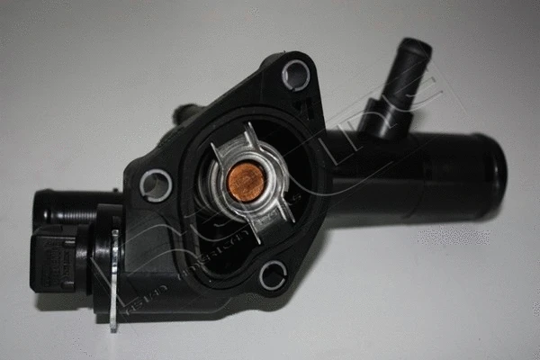 Thermostat, coolant