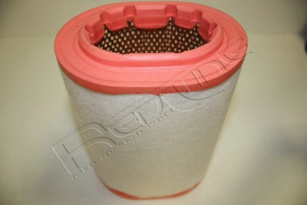 Air Filter (36RV021)