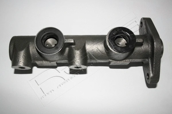 Brake Master Cylinder (09CH003)