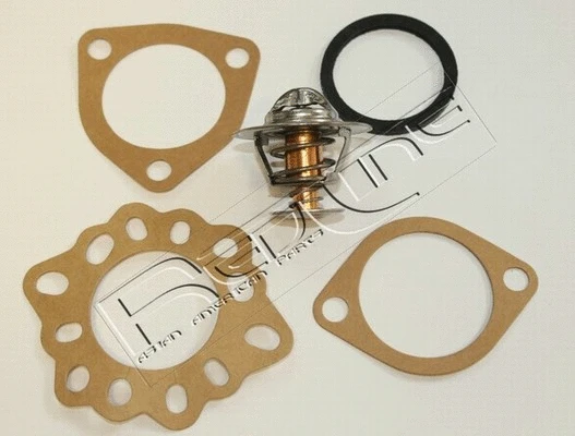Thermostat, coolant (55NI000)