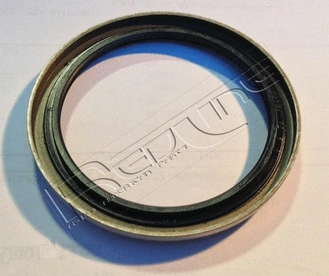 Shaft Seal, wheel hub