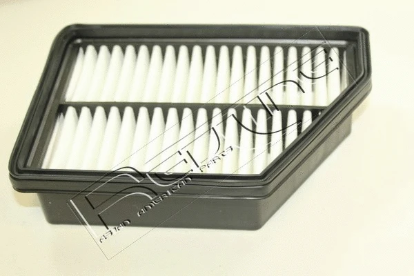 Air Filter (36SS020)